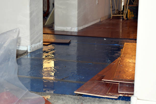 Professional Burst Pipe Cleanup technician working in East Brookfield, MA